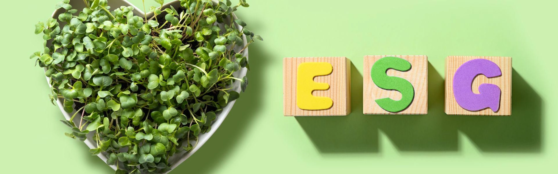 Planta em formato de coração ao lado de blocos de madeira formando as siglas ESG.