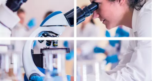 Melhoria Genética e Biotecnologia