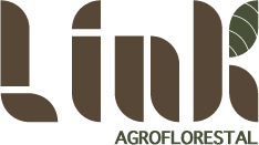 Link Agroflorestal