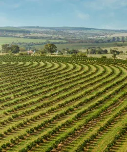 Agro em 2024: área de produção rural.