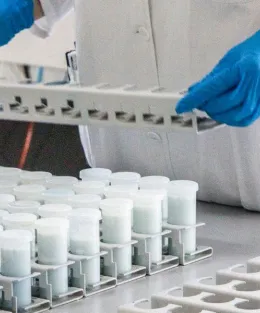Uma pessoa realizando testes de laboratório em leite.