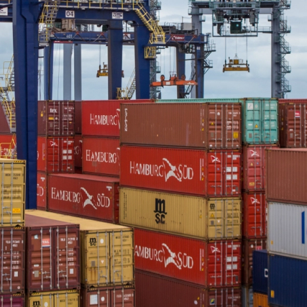 Diagnóstico para exportação: d