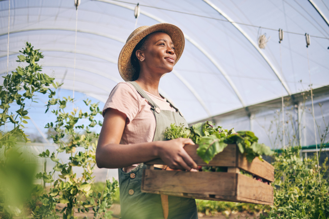 Mulher em um estufa segurando uma caixa de vegetais frescos, representando o cultivo orgânico e a agricultura sustentável.