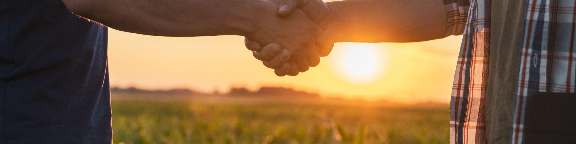 Imagem de duas pessoas dando um aperto de mãos ao pôr do sol em um campo, simbolizando acordo ou parceria, representando confiança e colaboração.