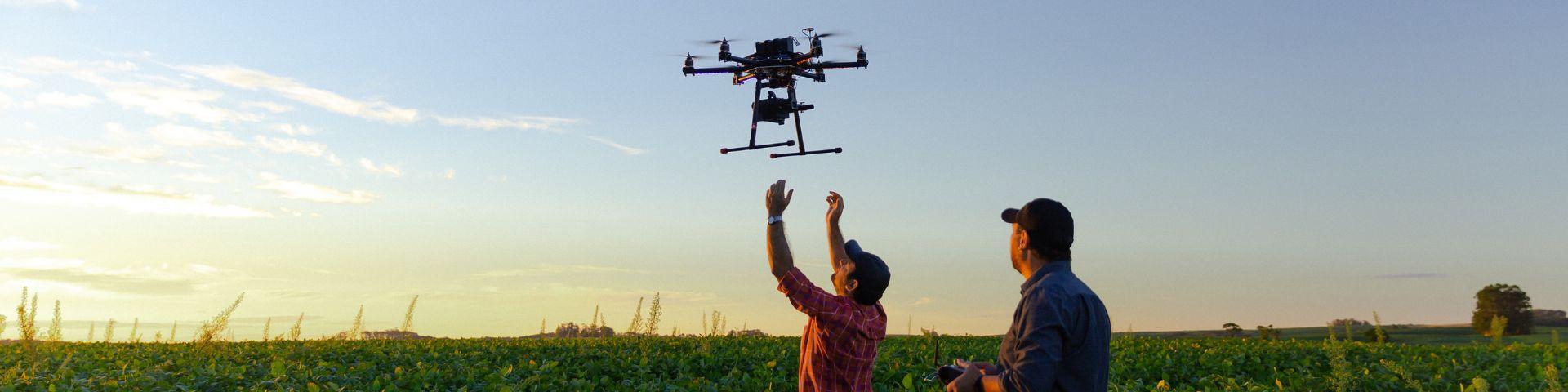 Dois produtores testam um drone sobre plantação, ilustrando o avanço tecnológico e o uso de ferramentas digitais no campo para otimizar a produção.